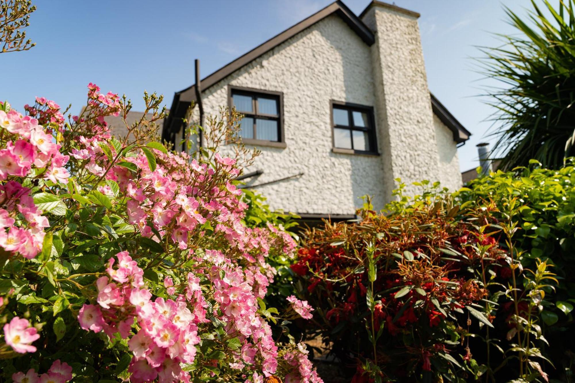 The Briers Country House Newcastle  Eksteriør billede