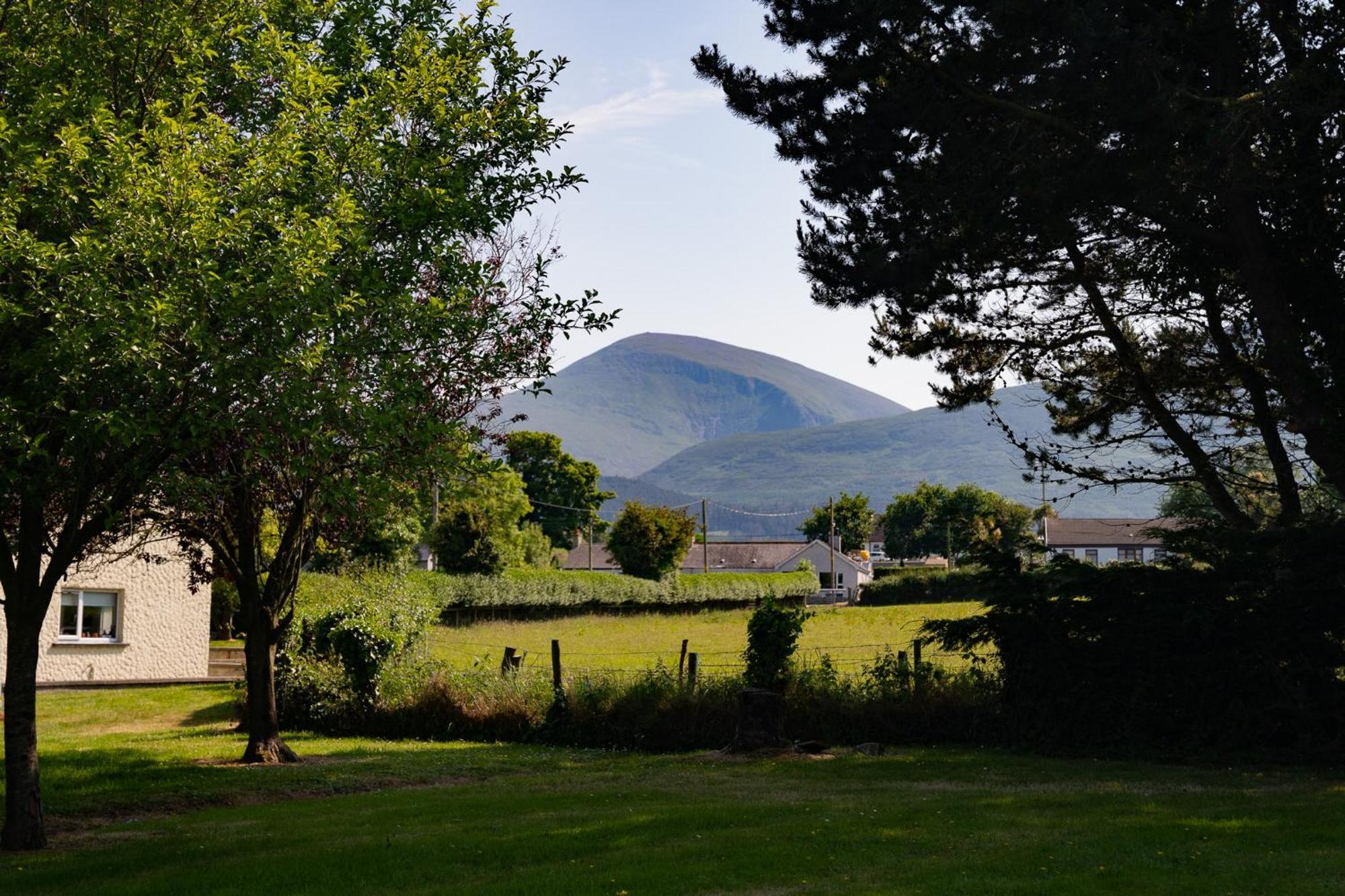 The Briers Country House Newcastle  Eksteriør billede